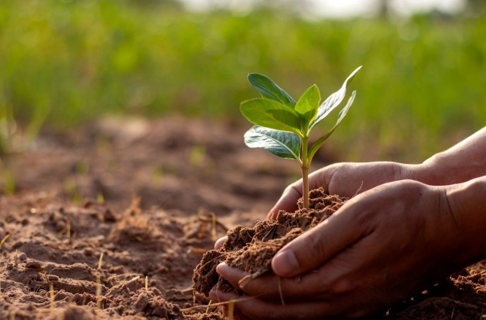 Environmental Consultants: Guiding Businesses Toward Sustainability